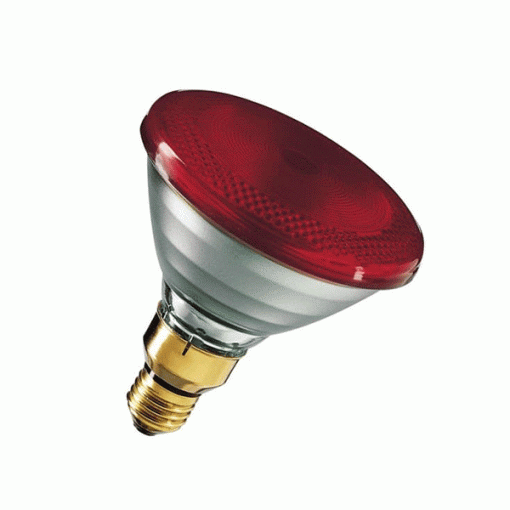 Philips Infrared Bulb 150w
