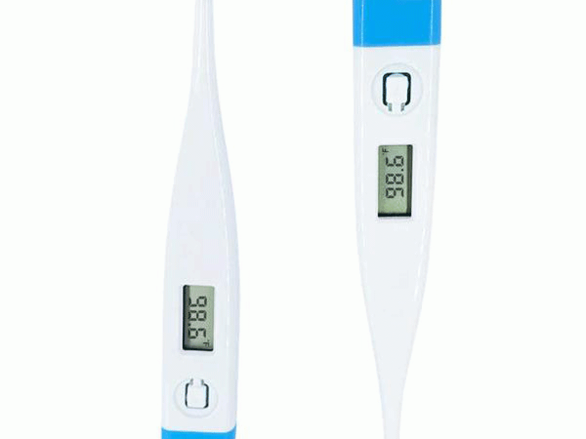 Price for digital thermometer hotsell