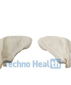 Anatomical Bone models for orthopaedic