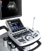 Healicom THUC-950 Trolley 4D Color Doppler Ultrasound Scanner