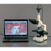 Open Box 40X-2000X 3W LED Siedentopf Trinocular Compound Microscope