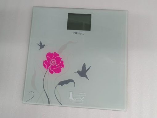 camry weight scale