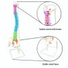 Human Size Anatomy Spine Model in Bangladesh