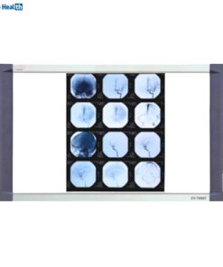 Ecomed EV-750MT LED X-Ray View Box - Double