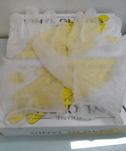 Vinyl Hand Gloves - 100 Pcs Box 4 2 1 2