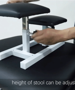 Physiotherapy Lumbar and Cervical Traction Bed or Table 10 5 3