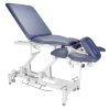 7 Section Treatment Table for clinical use 8 7 Section Treatment Table1 1