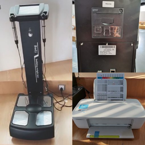 Digital Body Weight Analyzer Scale