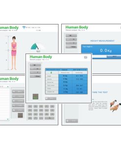 Digital Body Weight Analyzer Scale