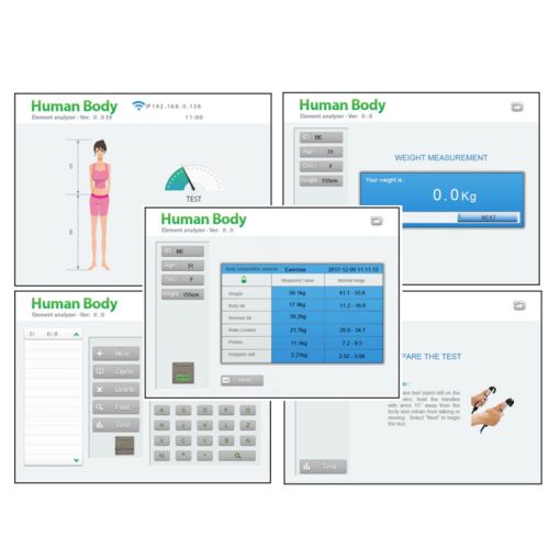 Digital Body Weight Analyzer Scale