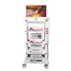 Healicom Full HD Video Complete Endoscopy Tower Camera System 7 Healicom Full HD Video Complete Endoscopy Tower Camera System