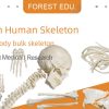 Anatomical Bone Models for Orthopedic 13 Anatomical Bone models for orthopaedic