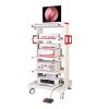 Healicom ENT Surgical Endoscope Tower Type 7 Healicom ENT Surgical Endoscope Tower Type