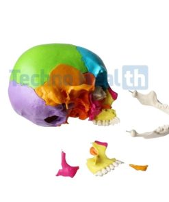 Human Skull Anatomy Interactive 3d Model for Medical Students 8 Human skull anatomy interactive 3d model