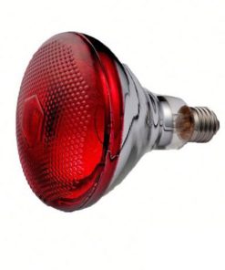 IRR Bulb / Infrared lamp for physiotherapy-Philips 3 Infrared lamp for physiotherapy
