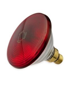 Philips Infrared Bulb 150W 7 Philips Infrared Bulb 150w 1
