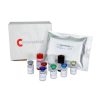 TSH Test Price in Bangladesh - TSH EIA Kit – 96 Test 9 TSH Test Price in Bangladesh