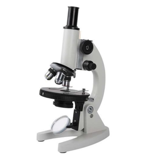 Student Compound Microscope L101
