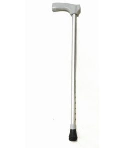 walking stick