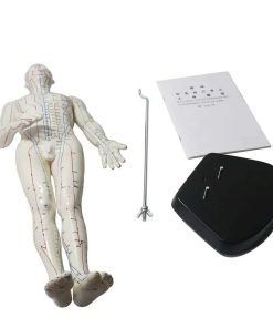 Male Acupuncture Model Ι Educational Acupuncture Point Model 6 Acupuncture Point Model Price in Bangladesh