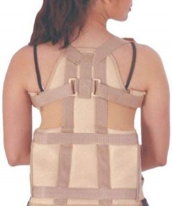 Flamingo Dorsolumbar Taylor Brace OC-2034 Price in Bangladesh